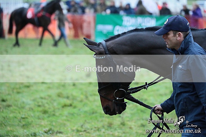 PtP 091125  0653 - Point-to-Point Wales Area Club Lower Machen, Gwent 09/11/25