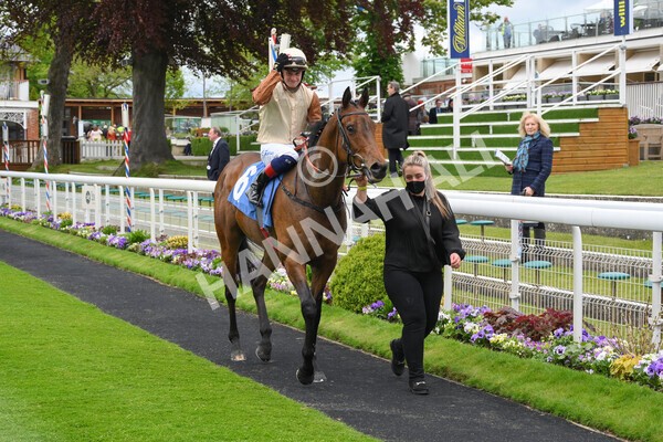 yr22052021r1-36 - Race 1 2.05pm William Hill Pick Your Places Stakes