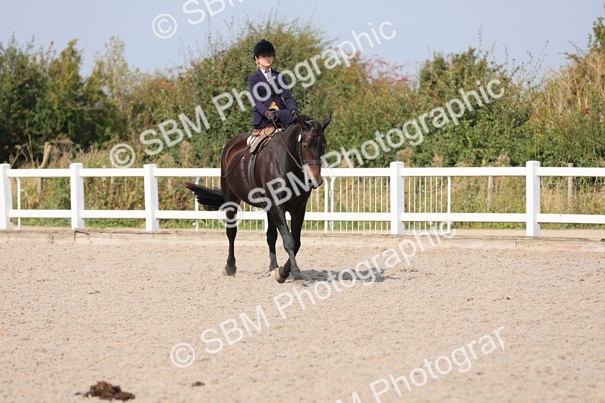 SBM_14543 - Class 211 Best Side Saddle Horse/Pony