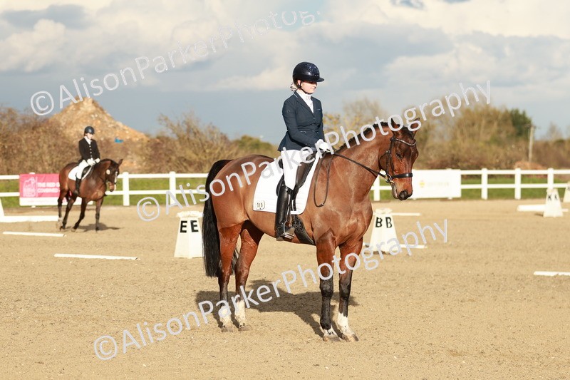 20260314-6312 - CT7 - Elementary 2