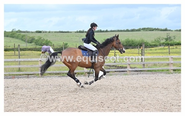 BPP_1145 - CLASS 4 FRI Newcomers/ 1.10m Open