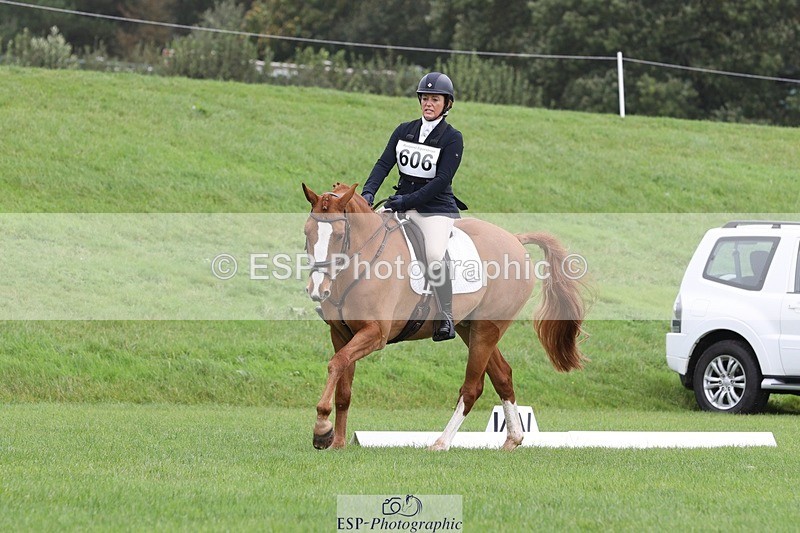 231019-104634-02431 - 606-GOLDEN.HEART.BREAKER-Emily.R.Vincent-DR