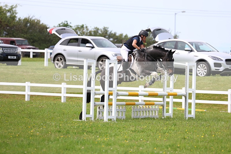 3E7A1558 - Class 13: Senior British Novice/90cm open