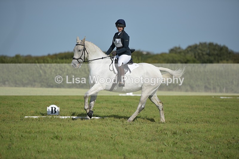 RAY_8119 - Class 2B: Trekenning Open: Dressage