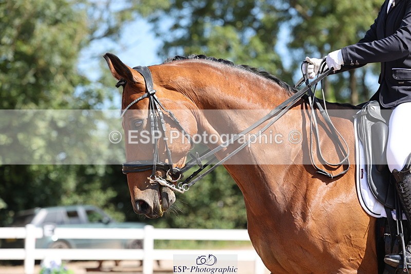 240816A-113116-04191 - 100-Ava.Porter-Sutherland