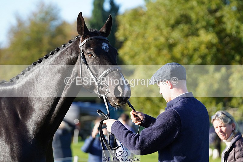 241026-100620-11613 - 058-Jack.Ashworth-TIMEPEICE.BLUE