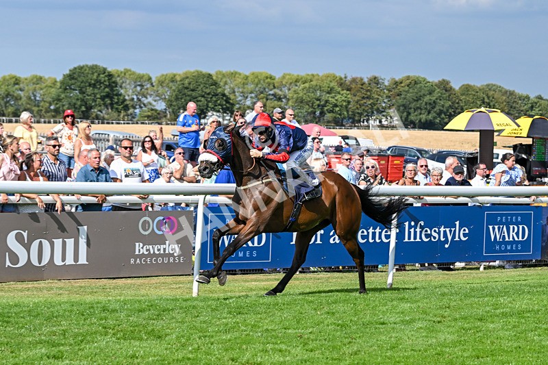 140825-Race 5-Chillhi-1530 - Race 5