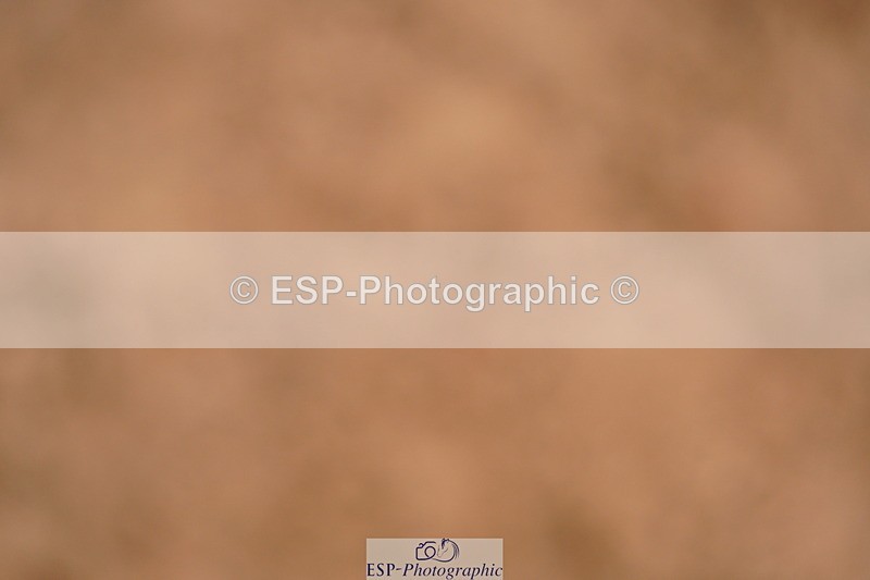 240506A-084010-07773 - Cls 11 Stepping Stones 128cm & 138cm