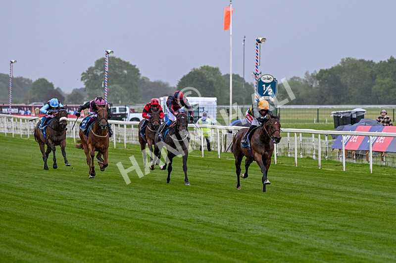 130526-Race 1-Cut A Dash-1952 - Race 1 1.45pm British Stallion Studs EBF Novice Stakes