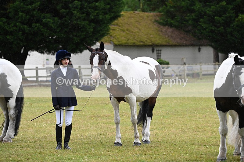 WJ6_8996 - Class 10 Coloured in-hand
