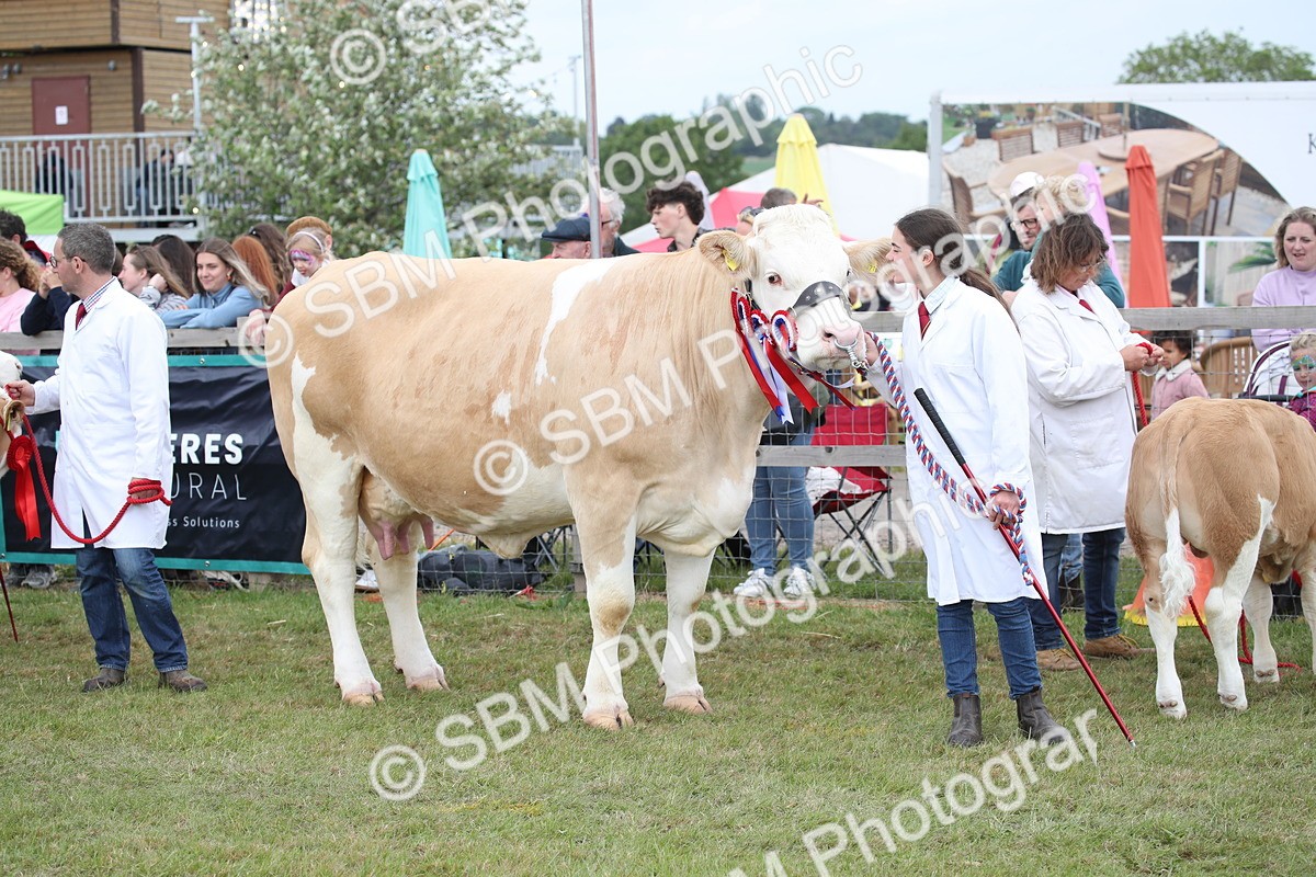 SBM_07860 - Grand Parade