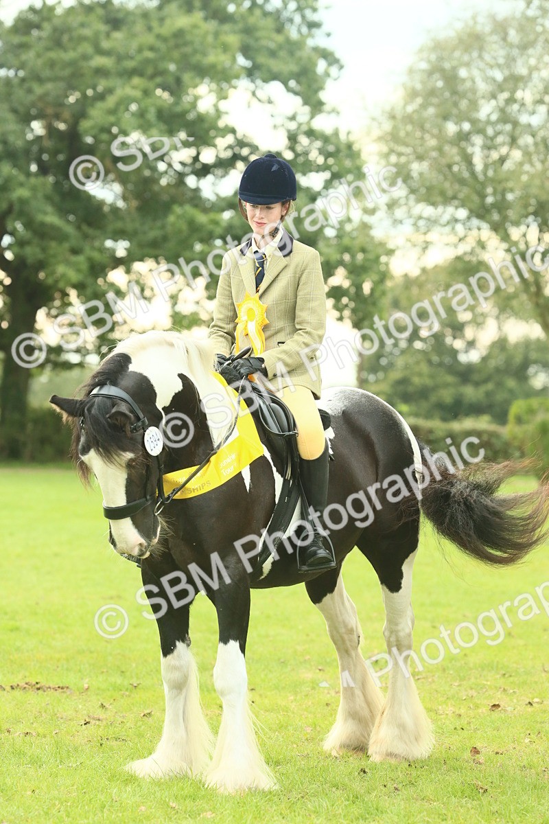 SBM_75083 - Ridden Pony Supreme Championship