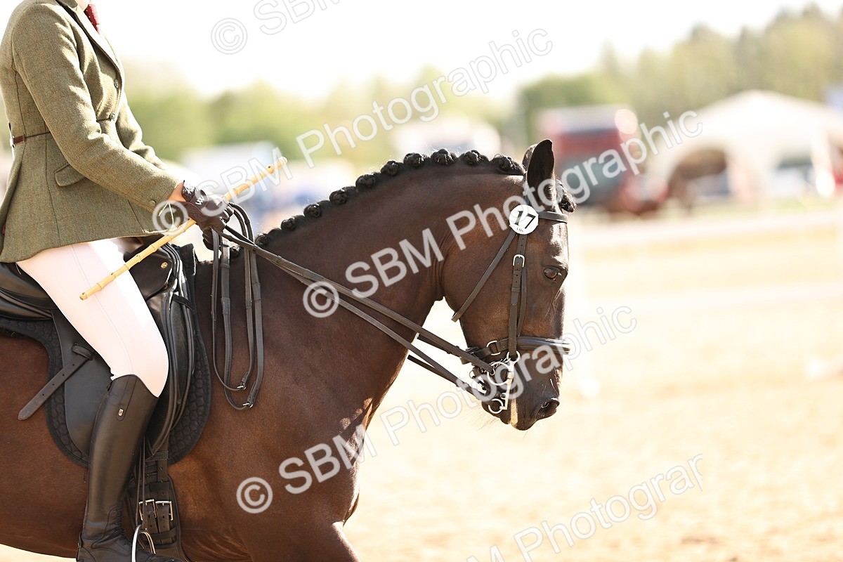 SBM_18239 - Class 423 - Equitation (best rider) Adult