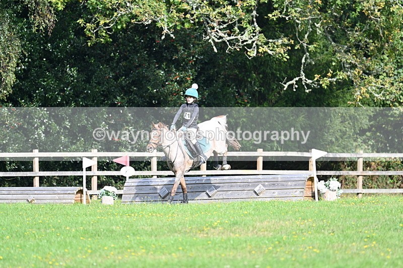 WJ7_5011 - 60cm Time 11:11 to 11:19