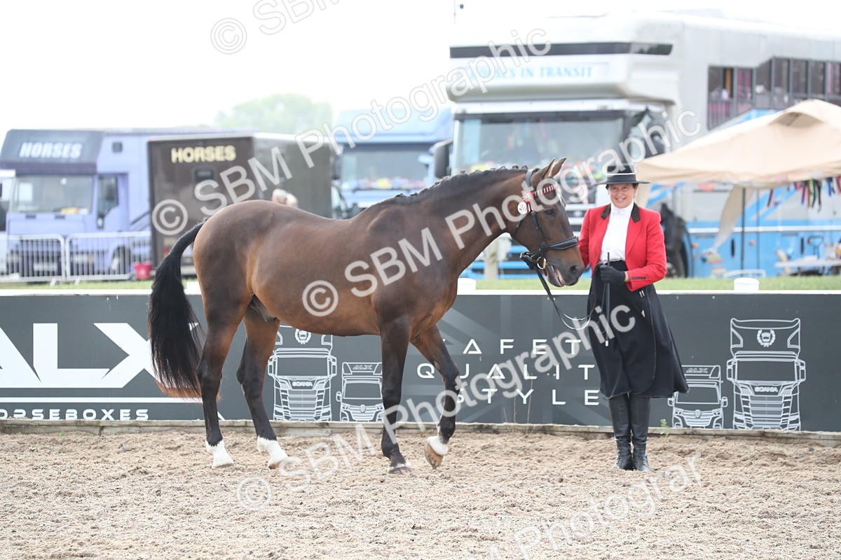 SBM_23069 - Class 605 - 2025 Area - IH Veteran