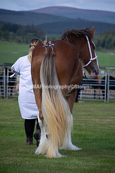 DSC_0136 - Ring 1