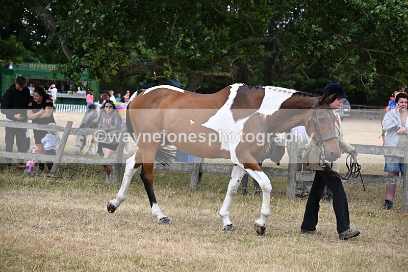 WJ6_8145 - Class 10 Coloured in Hand