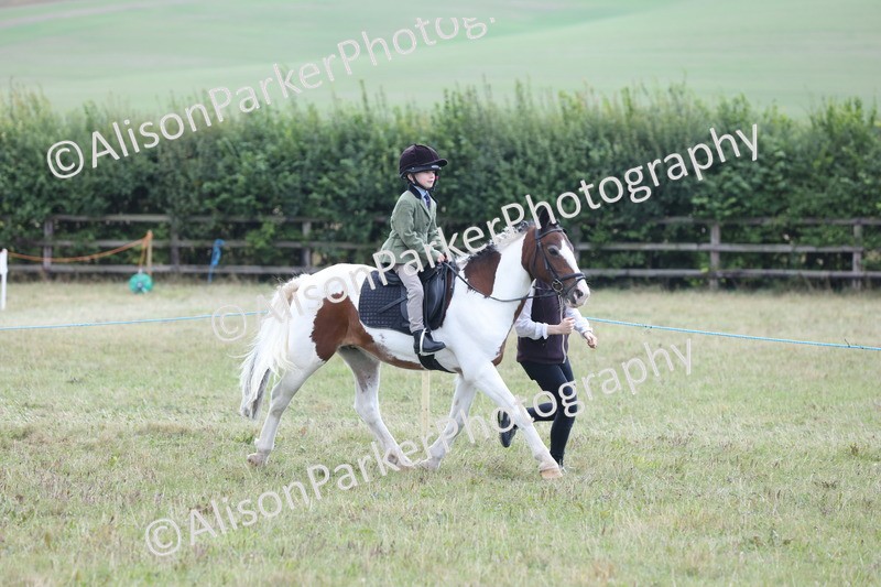 20250831-4325 - Class 20 - Ridden Coloured