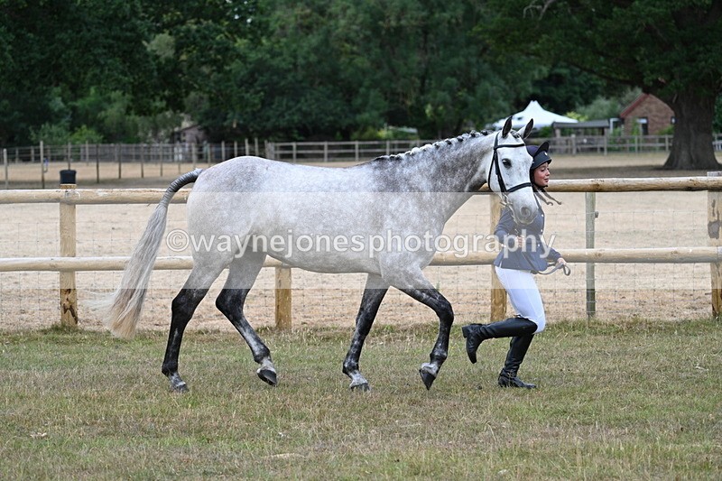 WJ7_8719 - Class 4a Prettiest Mare 14.2hh and over