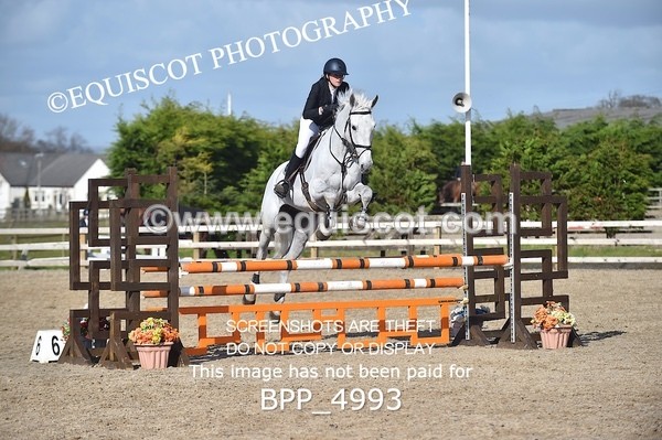 BPP_4993 - CLASS 13  Senior Discovery/ 1m Open