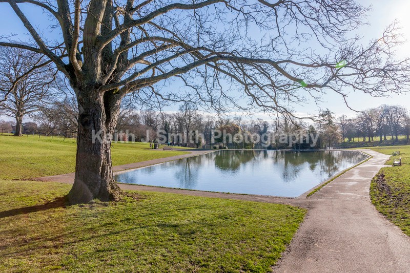 8SKJ0182 - Trees in Abington Park