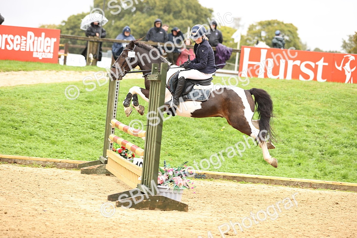 SBM_70054 - Supreme Championship 80cm 85cm
