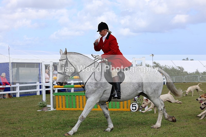 3E7A3396 - Parade of Hounds