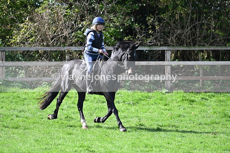 WJ7_8034 - Time 11:40 to 12:12