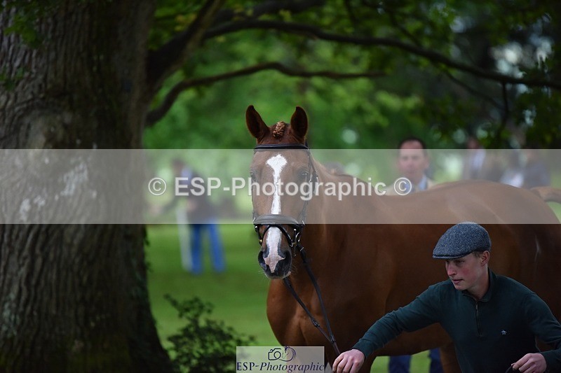 240522-164730-01158 - 221-LAGANS_RICE_STAR-Oliver_Thompson