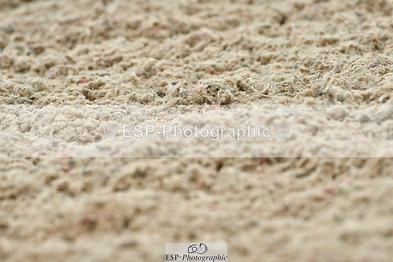 230702A-114823-08796 - Cls 26 Novice 37A