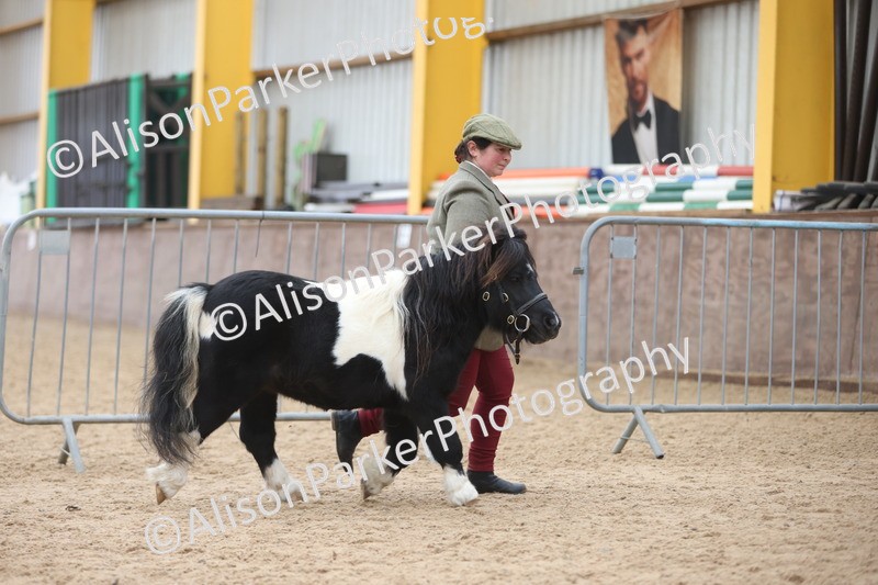 20251109-0442 - Championship