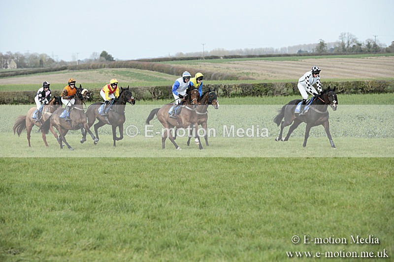 PtP 230319 249 - VWH Hunt Siddington Point-to-Point Racing 23/03/19