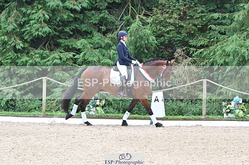 240811-132048-05888 - Adv Medium Silver