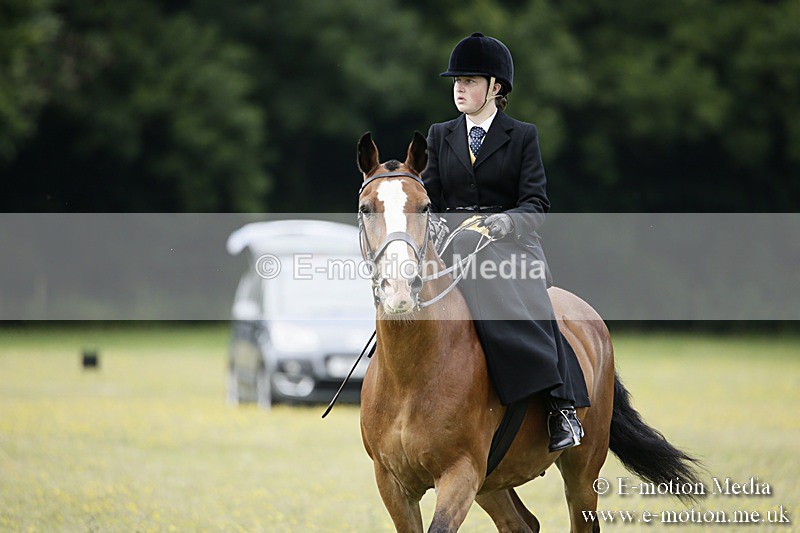 BVR160717-1579 - Side Saddle Classes 16/07/17