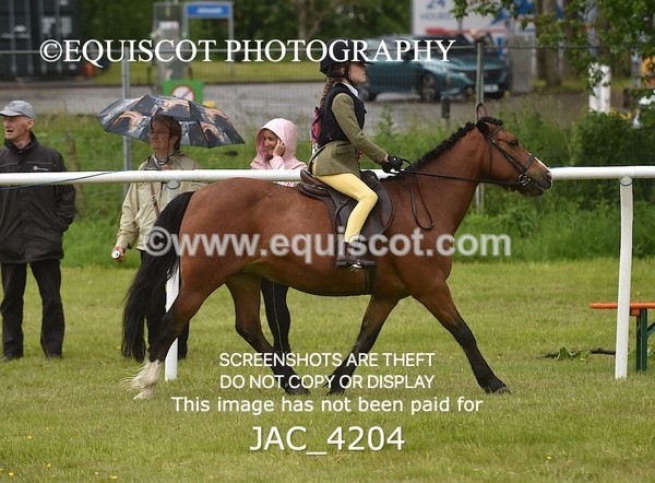 JAC_4204 - WORKING HUNTER CHAMPIONSHIP