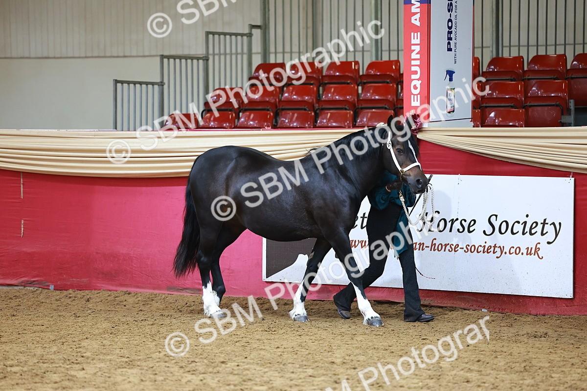 SBM_18394 - Class 903 - Sup Final - IH Pre Vet