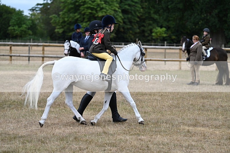 WJ7_6582 - Class 1 Lead Rein Pony