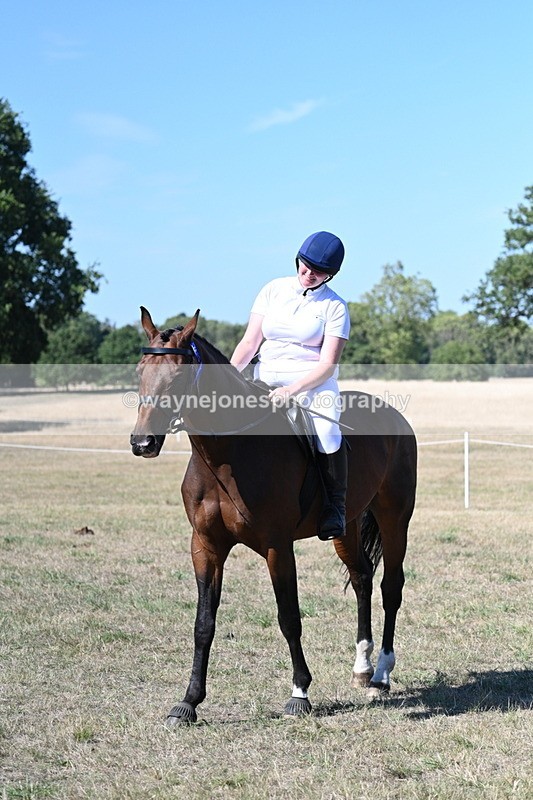 WJ7_1676 - Class 42 Most Handsome Gelding