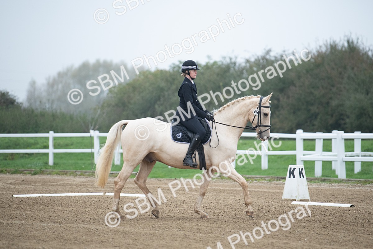 SBM_003329 - Introductory Test 3