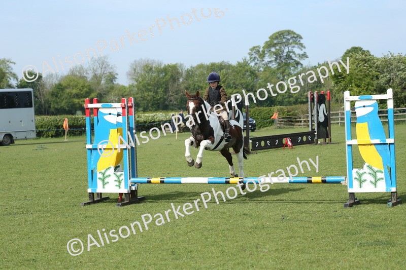 20260426-0231 - Class 13 - Rookie Jumping 50cm