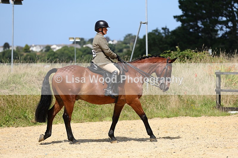 1X9A8705 - Class 22: Veteran