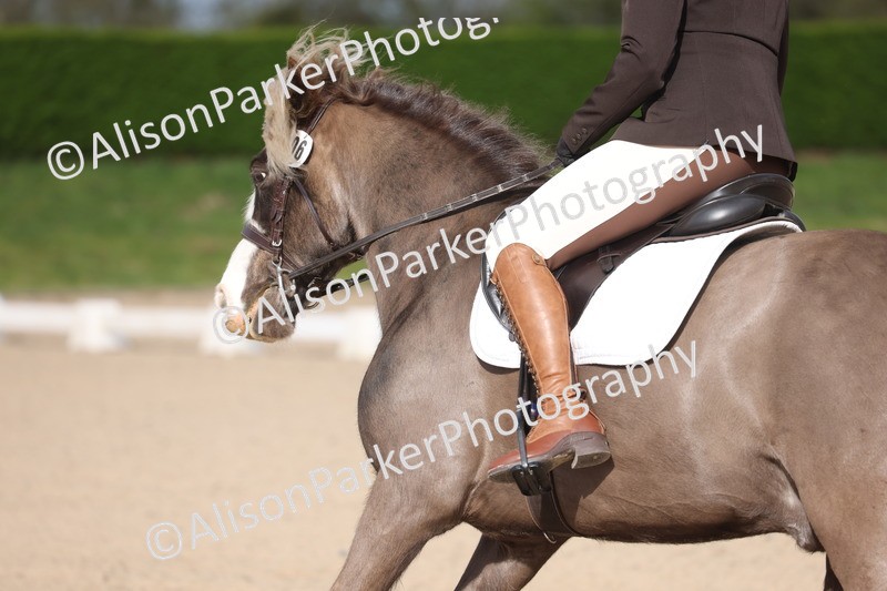 20260405-0036 - Class 1 - Prelim 5