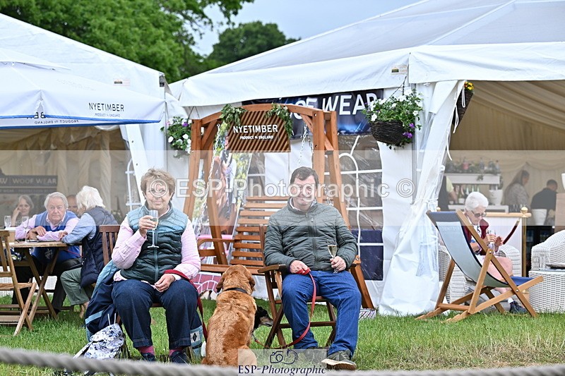 250524A-124232-11018 - Western Counties Crowds
