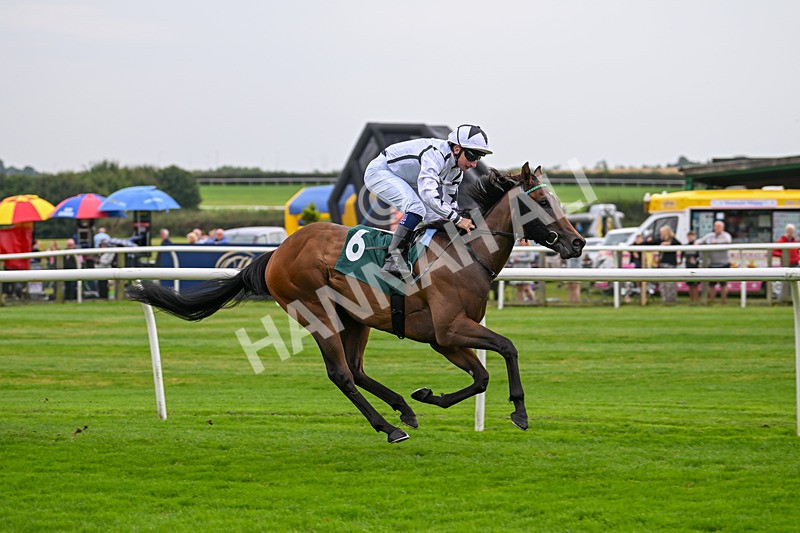 280824-Race 1-Nala Star-3951 - Race 1