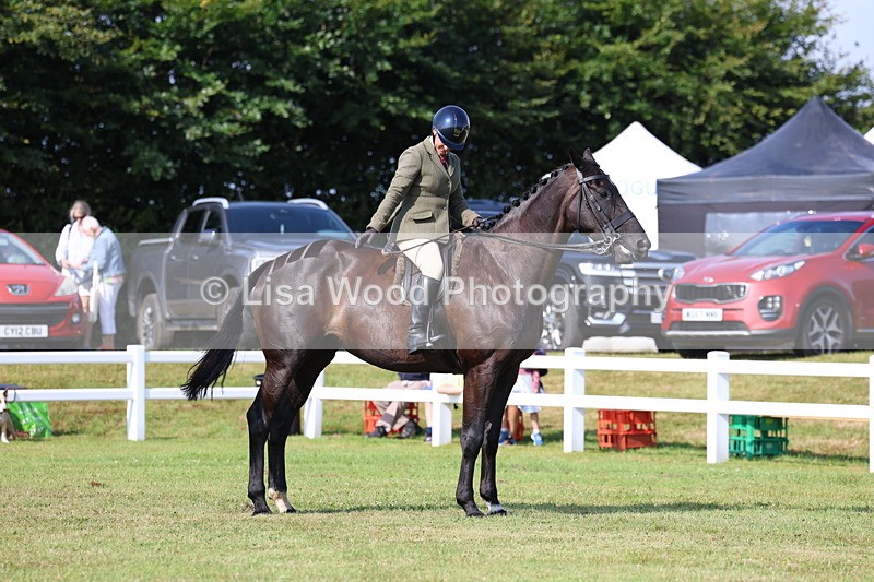 3E7A8716 - Class 3: Rising Star S/L Hunter