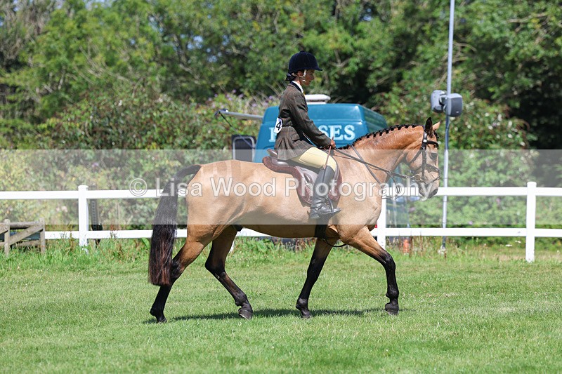 3E7A8940 - Class 6: Open Working Horse