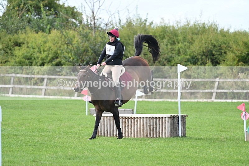 WJ7_8356 - 60cm Pairs