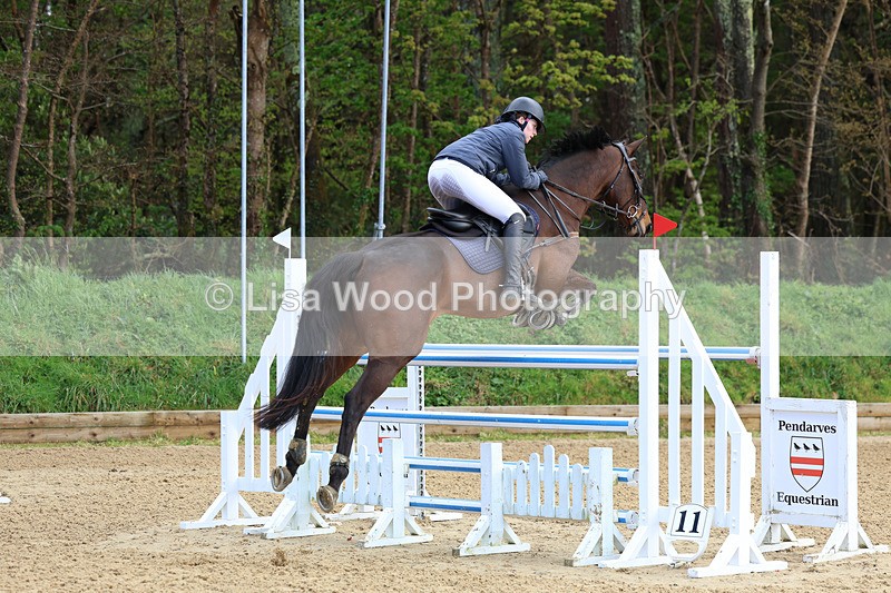 3E7A2089 - Class 8: Senior Foxhunter/1.20 open