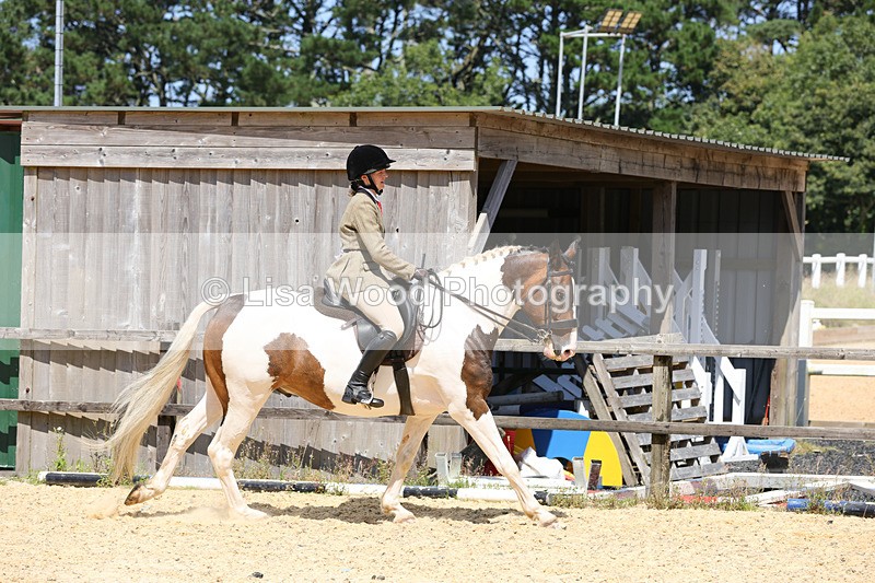 1X9A8810 - Class 19: Riding Club Horse