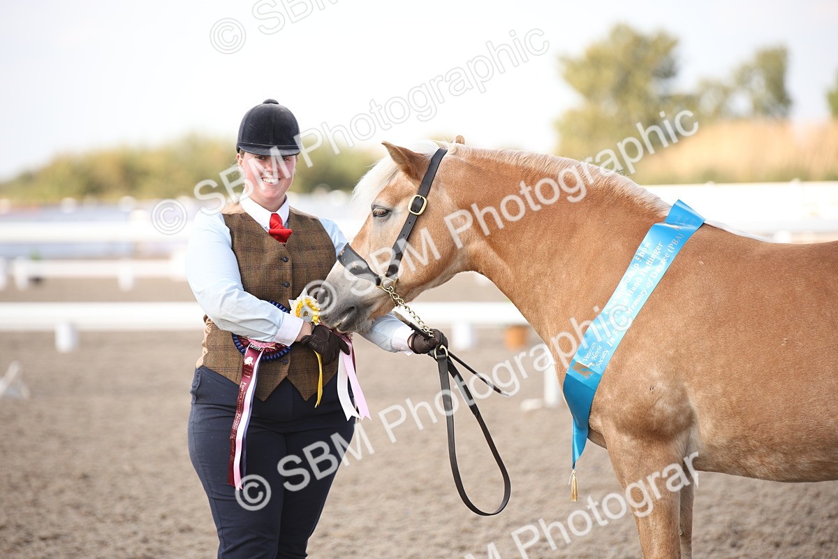 SBM_07155 - Class 25 IH Foreign Breeds- Pure bred